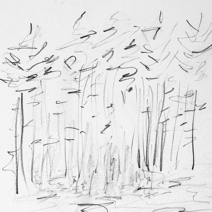 Cape Breton Sketch #4