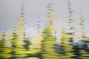 autumn drive 2 northwest territories Painting | oil on canvas | 42x78