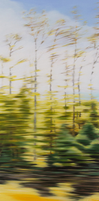 Paintimh | Autumn Drive 1, New Brunsoil on canvas | 30x60wick |