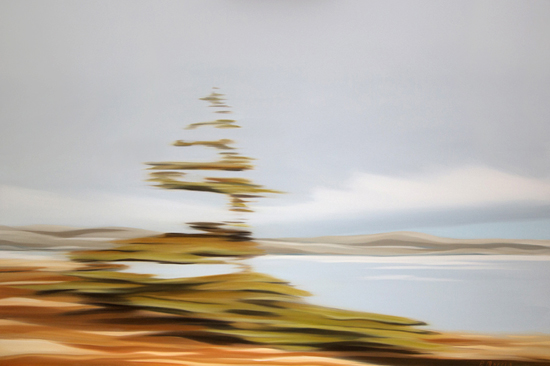 Lone Tree, NL, 40x60 inches, oil painting, Patricia Morris