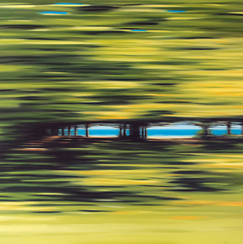 Patricia Morris | Shore Drive