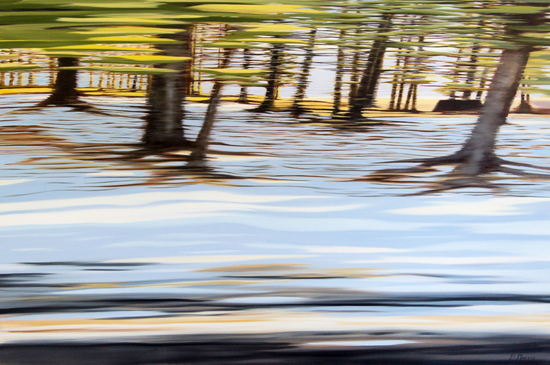 Patricia Morris | September Road Trip | oil painting