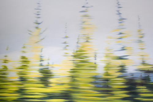 Painting: Autumn Drive 2, Northwest Territories, oil on canvas, 48x72