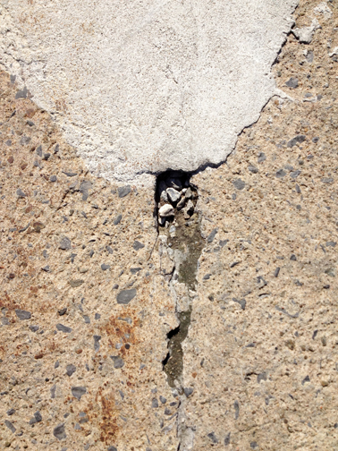 Crack 3 photo